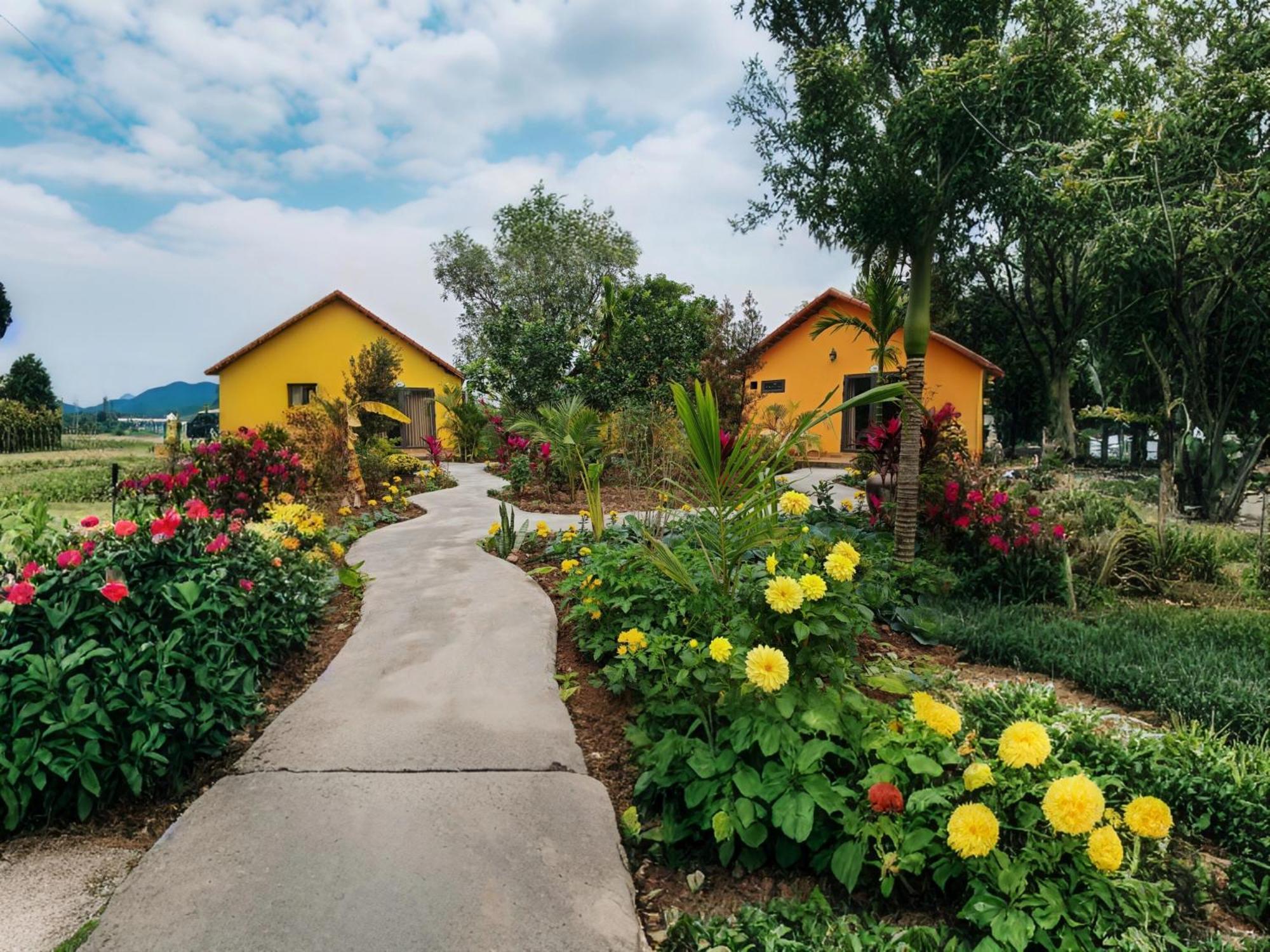 Ninh Binh Peaceful Retreat Villa Exterior photo